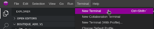 New Terminal